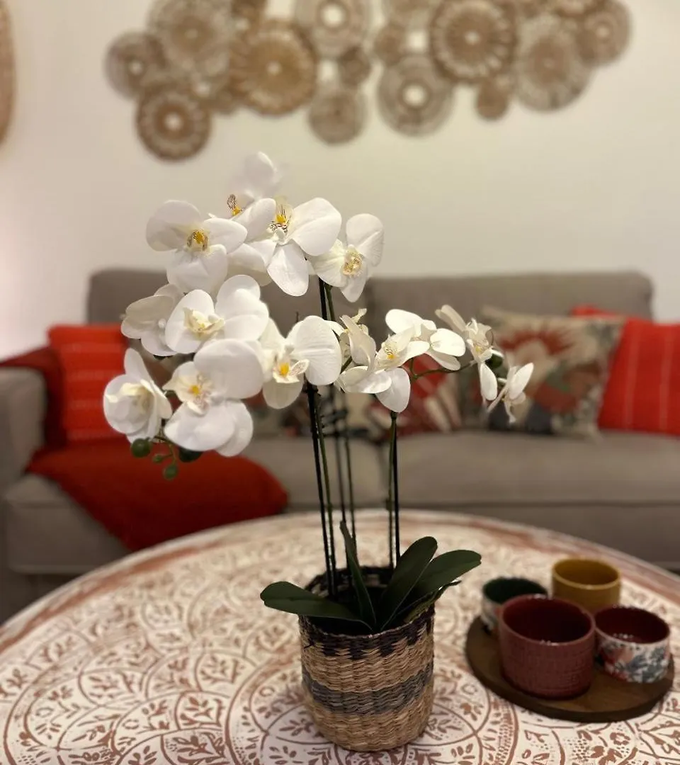 Nomad Stays Milos Y Bali Marbella Spain